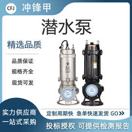 国网大功率潜水排污泵50WQ15-30-3KW 地下室地铁污水潜水排污泵