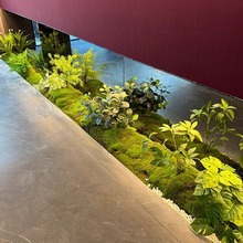 GֲMLl쾰҃Pǻֲb̦̈\[