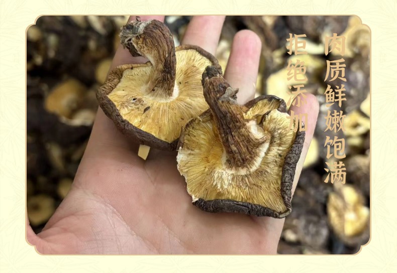 Dried Shiitake Mushrooms Xiang Gu 香菇 Whole Caps Factory Direct Quality Rich Aroma 500g specifications