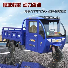 电动三轮车;正三轮摩托车;其他摩托车