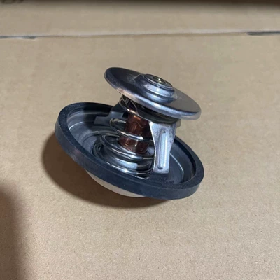 20450736 20460312 – Thermostat