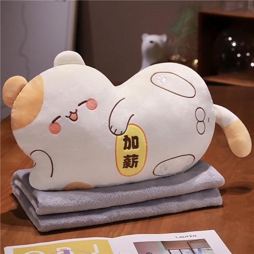급여 고양이