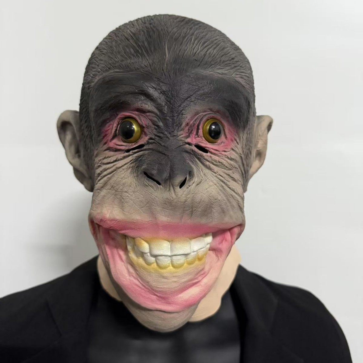 Gorila gorilla gorilla