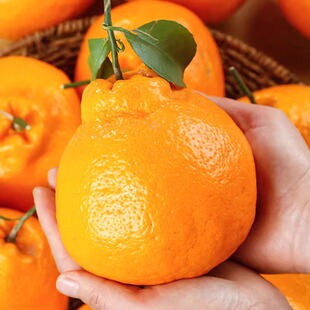 �Ĵ���Ҋ�ҰҸ̳�̽��������θ����˸̹����rˮ��һ�����l