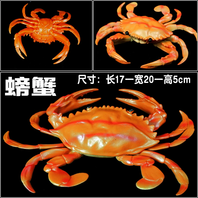 Игрушка, большие морские когнитивные украшения