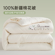 A��½��޻����ӱ�о�ޱ�����ȫ�ތW�����ᴺ�ﱻ���p�˶�������