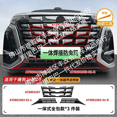 Automobile anti-insect net – Modified Decorative Strip Accessories - 26-models-of-denza-d9-insect-proof-net-one-piece-welding-upper-net-painted-black-lower-net-matte-black