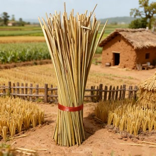 �S��ֱ�N������U�����ն������Uˮ��бP�z�^���X�X�\��������