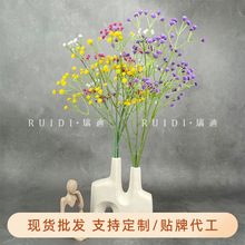 ���滨�M���ǻ�c�b�����������ins�L�[���Ҿ�ܛ�b���컨�ٻ�