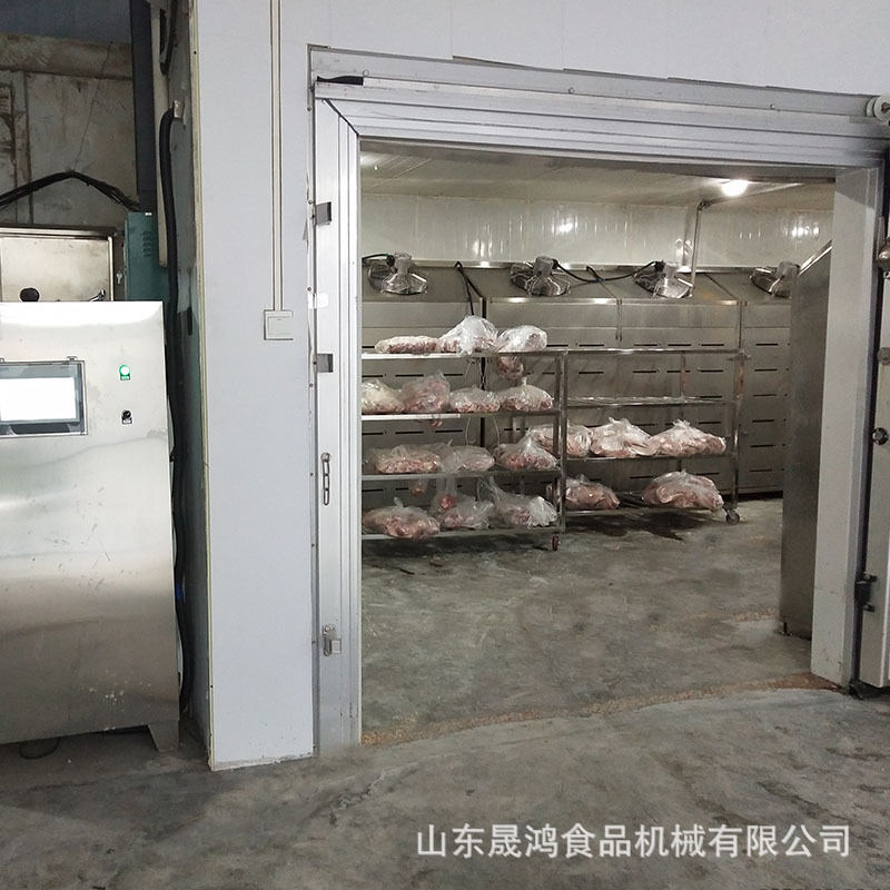 晟鸿冷冻肉解冻设备 冻肉解冻库 低温高湿解冻机