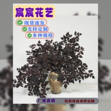 �羳�W���L֦����Gֲ�����~�����~�����~ ��c�ٻ� ��Y����ֲ��
