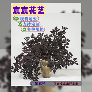 �羳�W���L֦����Gֲ�����~�����~�����~ ��c�ٻ� ��Y����ֲ��