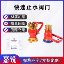 ����ˮ��ֹˮ��65�p���۴ƿڽ�ˮ�����y��ˮ��65mm����ֹˮ�y