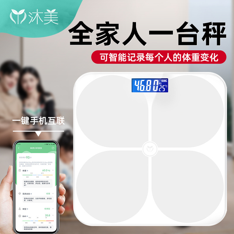 Physiological highly precise electronic scales for home use charging