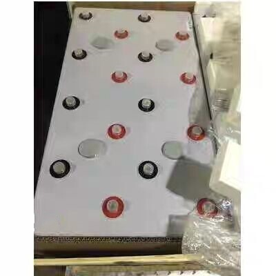 Ruidaxiang Battery Gfmd-2000C 2V2000Ah/1000Ah/800Ah/500Ah Solar Base Station Ruidaxiang Battery Gfmd-2000C 2V2000Ah/1000Ah/800Ah/500Ah Solar Base Station
