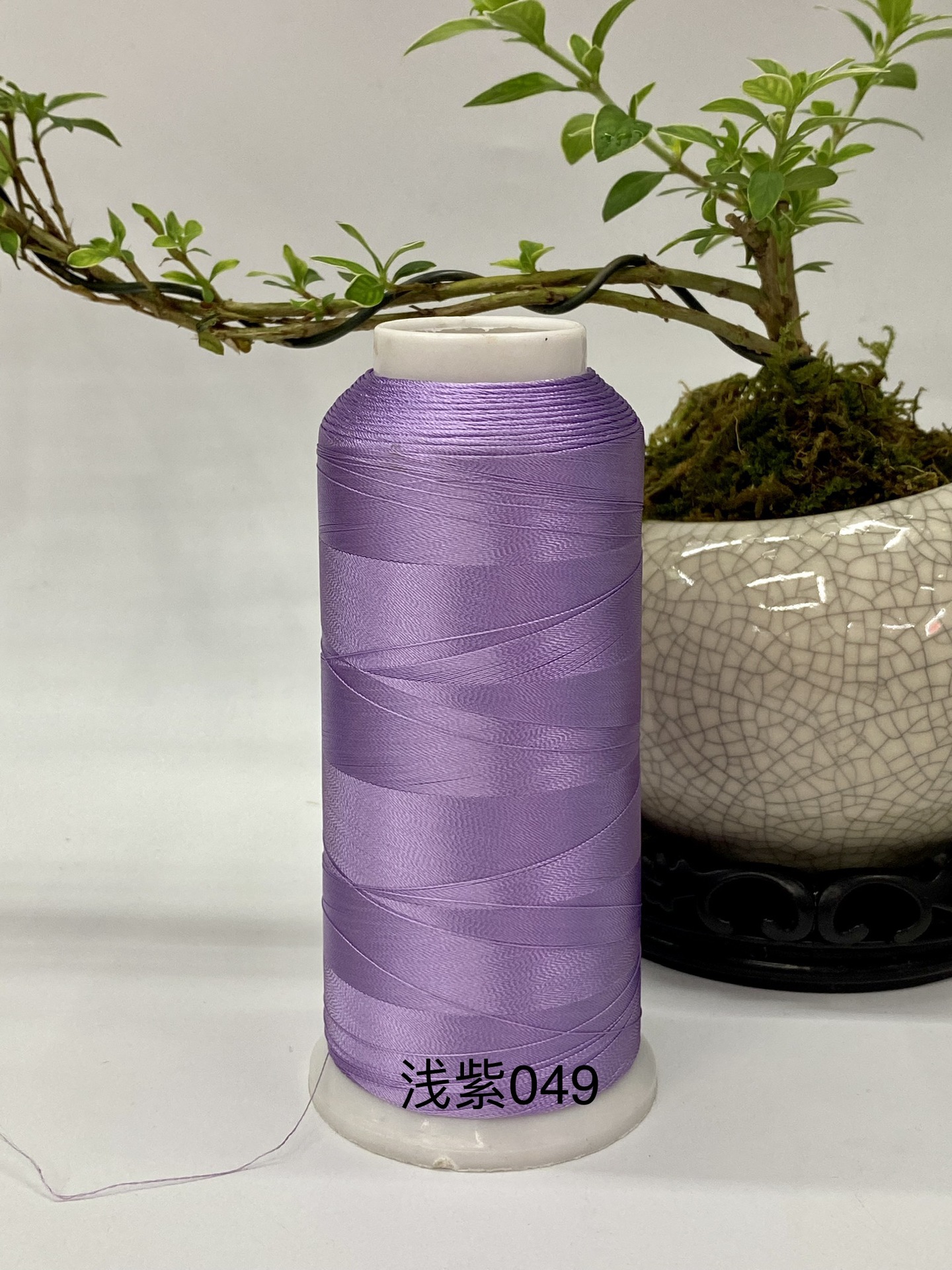 라이트 퍼플 049