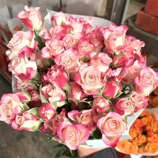 Orange Barbie Multi-Headed Rose Flower Bouquet Yunnan Kunming Base Direct Delivery Same-City Express Perfume Lily Flower Arrangement