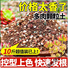 �����������w���I�B��ֲ���M����̿�Nֲ�����ʯ�~�弃��������