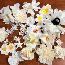 �ɐۻ�������bl���ɐۺ����m���2026�Շ��бP�l���ӄ����AŮ
