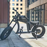 Dogebos2024 завод новый 250W Octopus Motor 20 дюймов толстая шина электрический велосипед для взрослых