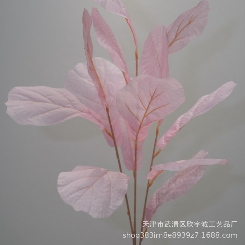 분홍색