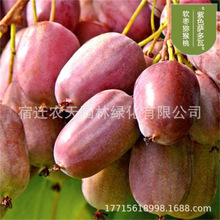 ���˽��S�J���Ҙ����Ϸ������Nֲ���Ե����S�īJ���Ү���Y������