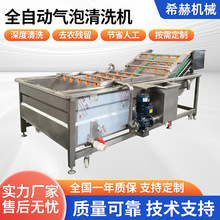全自动气泡清洗机  红枣辣椒果蔬气泡清洗机  毛豆气泡清洗设备