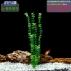 47cm tall vanilla [green]