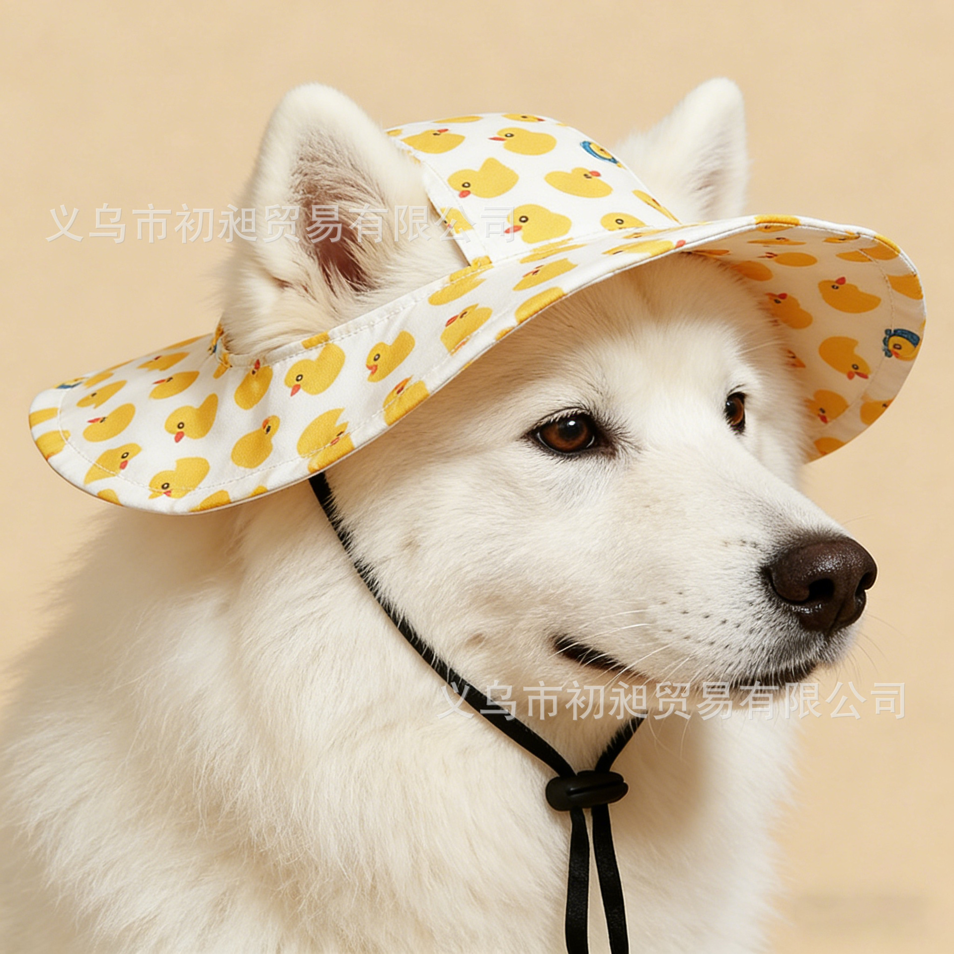 跨境新款狗狗夏季遮阳防晒猫帽子防脱可调节猫咪帽狗宠物帽子批发