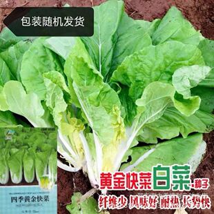 ��Ʒ�ļ��S���˷N��С�ײˑ����͟���������S��ͥԺ�̨�߲˷N