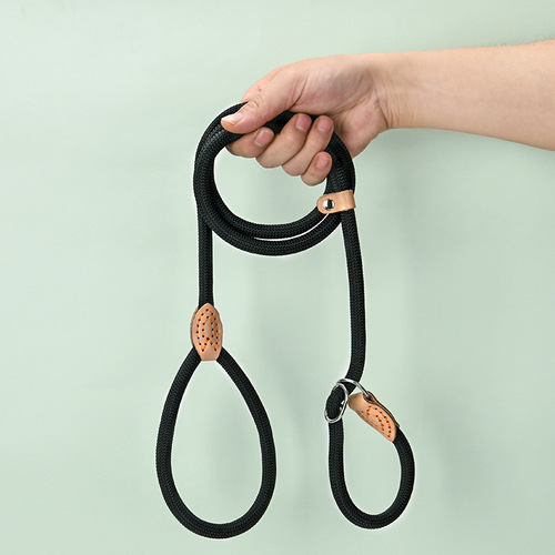Manufacturer wholesale dog training P rope extended 2.5 meters thick P chain retractable all-in-one easy-to-pull pet leash