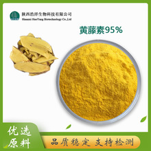 �S����95% �}����R͡ palmatine �S����ȡ�� CAS#3486-67-7