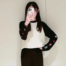 ERAILƴɫ̽ᘿŮ 2025＾¿ë°ٴT