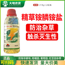 @캣 @좰} و@Ǹsݳ݄rșl]