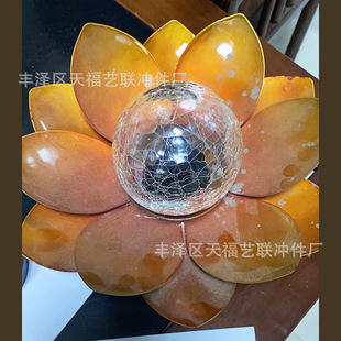 �Fˇ�Fˇ�����w�����뻨������_��ֲ���뻨�F������l��N���x