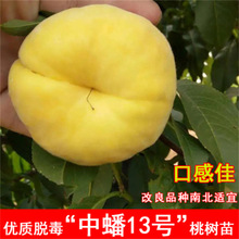 �S������Ҙ����޽��Ҙ���ˮ���Ҙ����S�Ҙ��箔��Y���Nֲ����