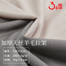 天丝羊毛面料 180g加厚拉架针织羊毛布 秋冬连衣裙打底衫天丝布料