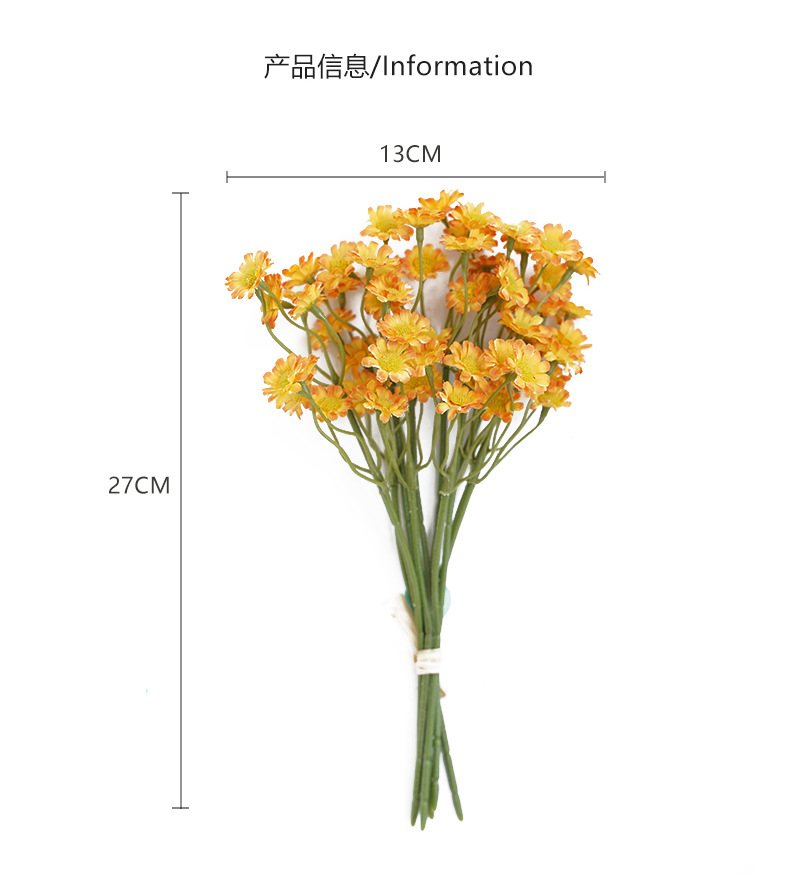 布拉格6枝扎小雏菊_05.jpg