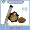 Se Buckwheat tea 100/200/500/1000/2000ppm Tartary buckwheat extract Selenium enriched powder