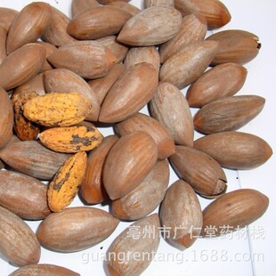 ���������ɽ�����������ș���������ă�������l�䱳��ș��