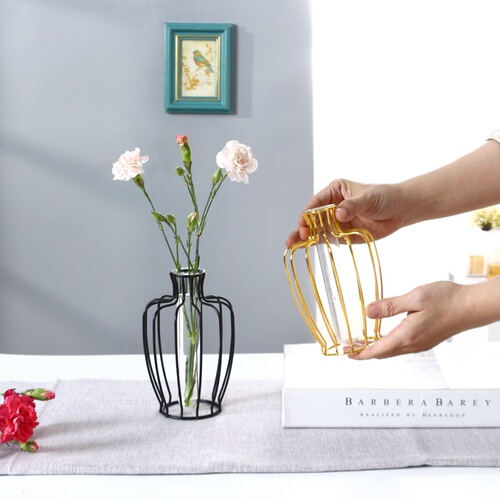 Creative metal electroplated metal glass hydroponic vase living room dining table iron vase decoration home flower vase