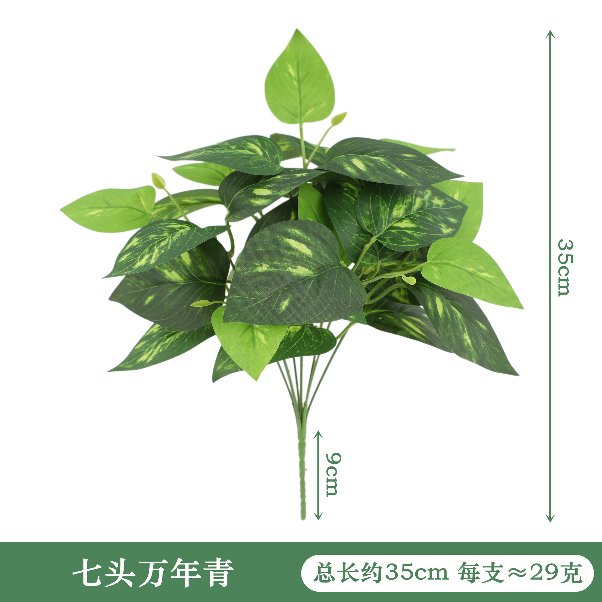 YAL29-170-7 머리 상록