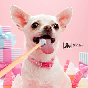 Dog Toothbrush, Cat Bad Breath Removal, Pet Oral Cavity, Teddy Pomeranian, Corgi Cleaning Cat and Dog Teeth and Calculus