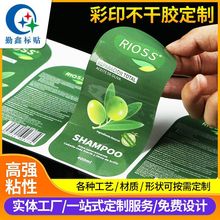 彩色不干胶标签定制  食品标签贴/烫金日化用品贴纸厂家定做