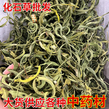 化石草大货批发 肾精草茶 结石草 猫须草 茶去石草化石茶花草茶