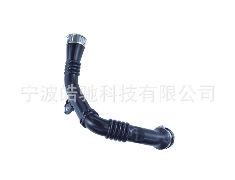 Suitable for Renault Scenic III (2009) - 2 intake pipe hose 8200796570