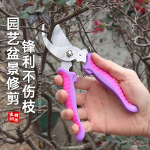 粗枝剪园艺园林剪刀多功能修枝剪树枝剪果枝剪花园摘水果盆栽修饰