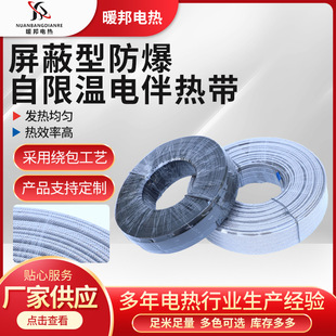 Electrode Tropical Anti-Corrosion and Explosion-Proof Tropical Electricity Heating Industrial Heating Belt Shielded Self-Limiting Temperature Electricity Tropical