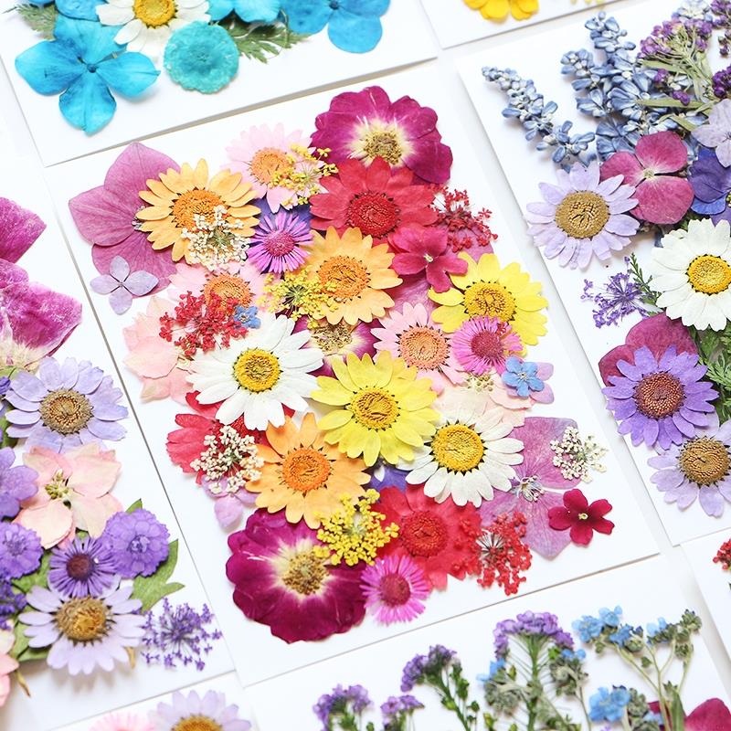 干花植物树叶标本diy材料包永生花压花片押花草手工滴胶书签真花