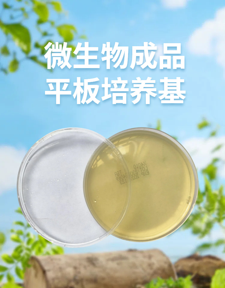 平板培养基